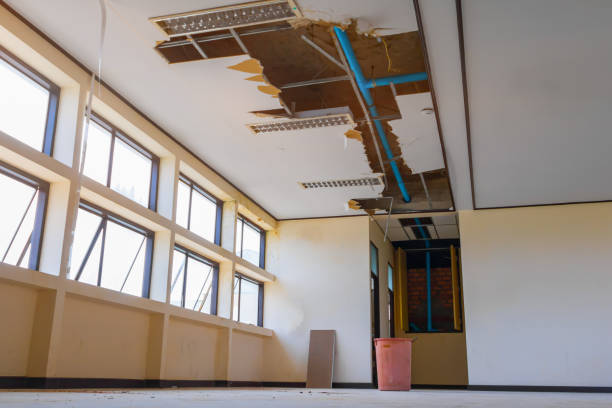 Best Water damage contractors near me  in Tuttle, OK