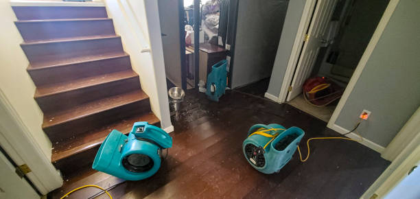 Best Mold removal after water damage  in Tuttle, OK